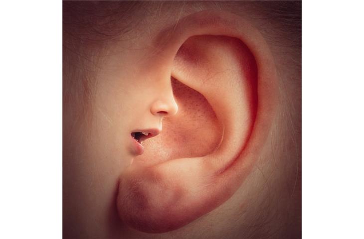 cm punk ear tattoo