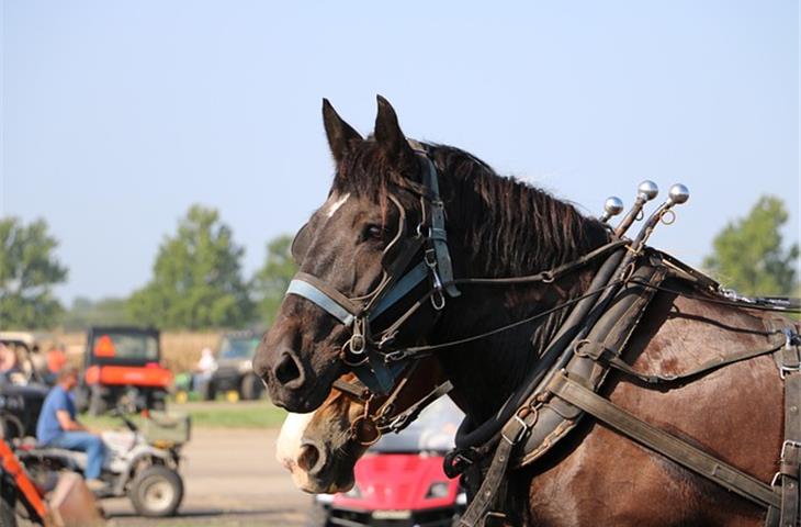 cm tack shawnee ks