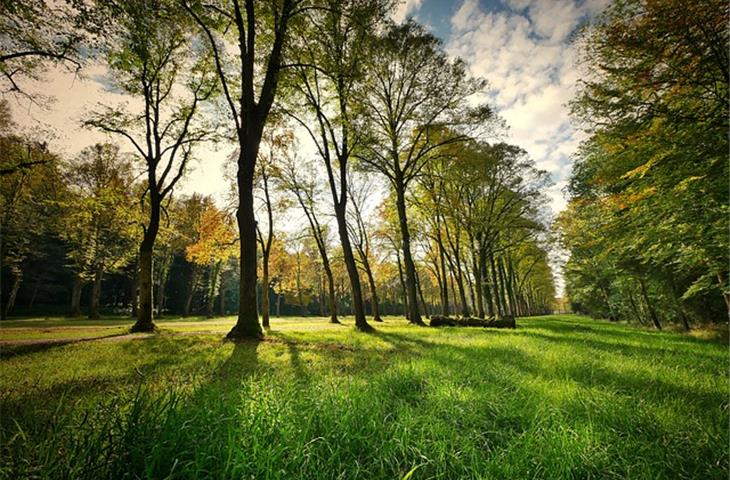 cm gardner state park